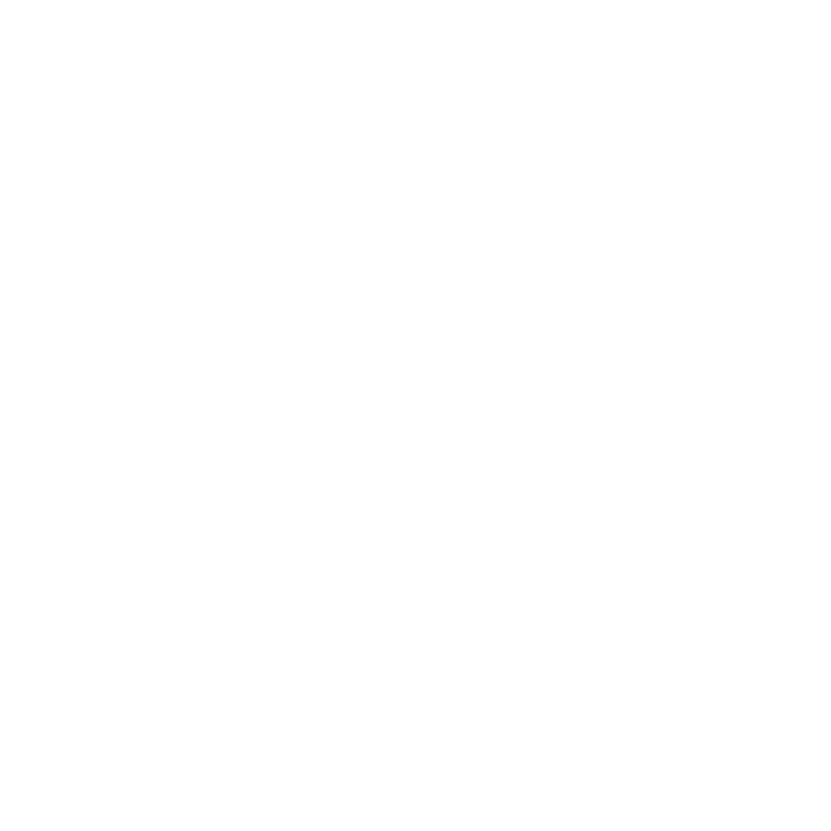 Partner Icon